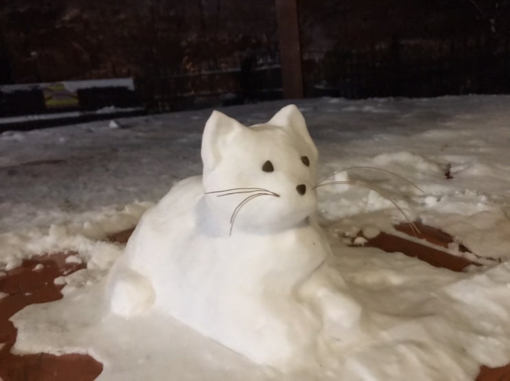  눈사람만들기/ 고양이 눈사람