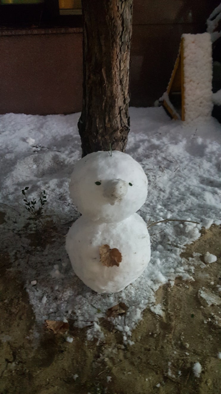  [일상] 슬기로운 노량진! 세상은 아직 살만하다!