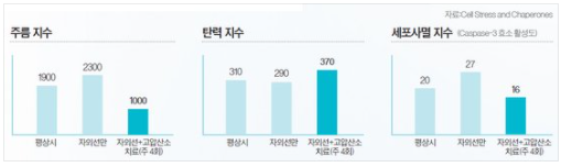  [산소/건강] 산소는 피부 건강과 어떠한 관계가 있는 것일까?