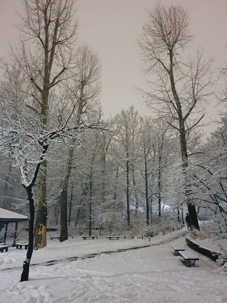 눈 내리는 어린이대공원 저녁 조용하고 예쁜 산책길 :)