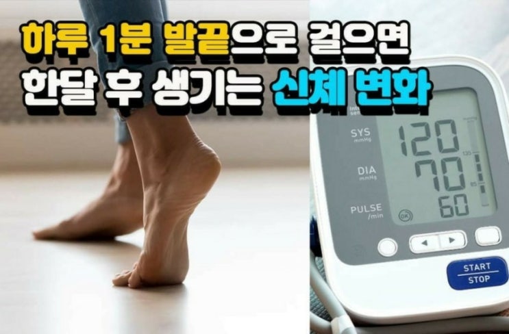  1분 발끝으로 걸으면 한달 후 생기는 신체변화
