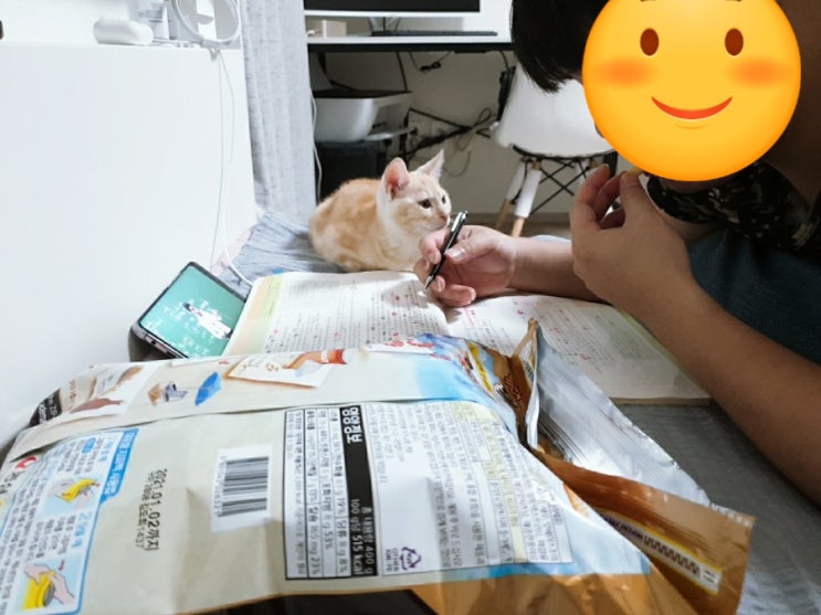  붕붕이의 일상 2탄