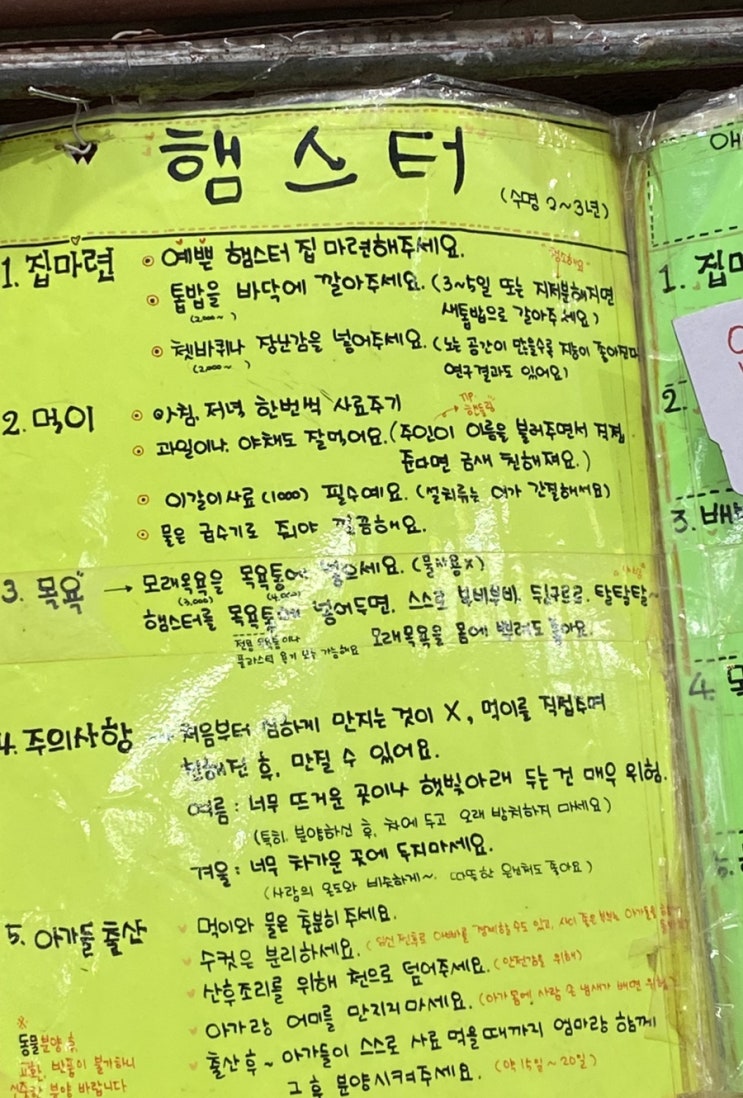  키워보자 햄스터