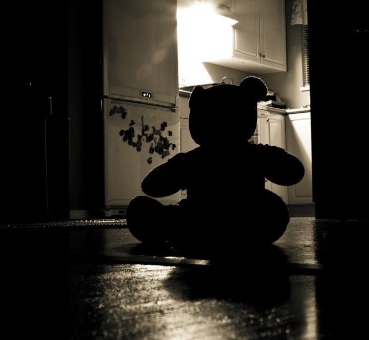 또 아동학대 의심 정황? '4세 여아 강추위에 길에서 떨다가 보호'