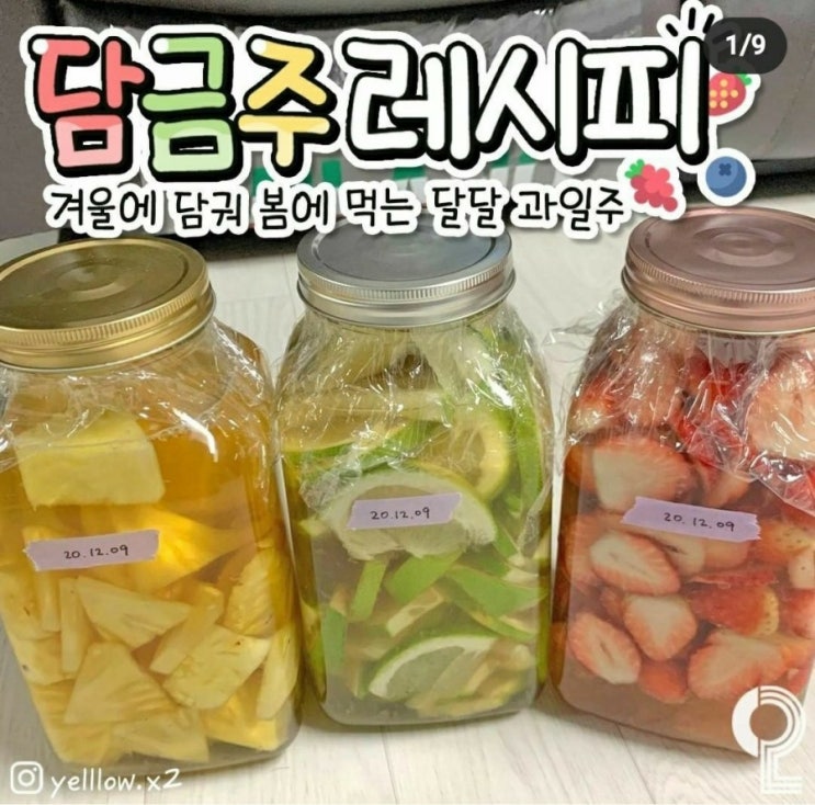  담금주레시피
