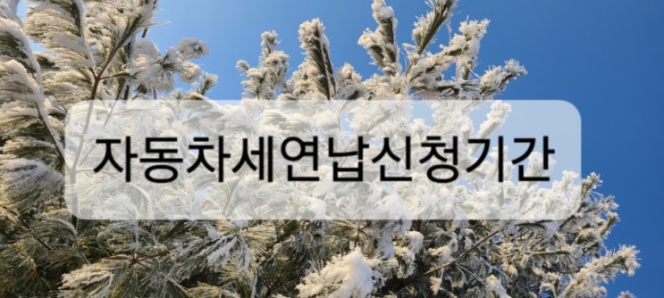  자동차세연납신청기간 확인하고 납부하세요