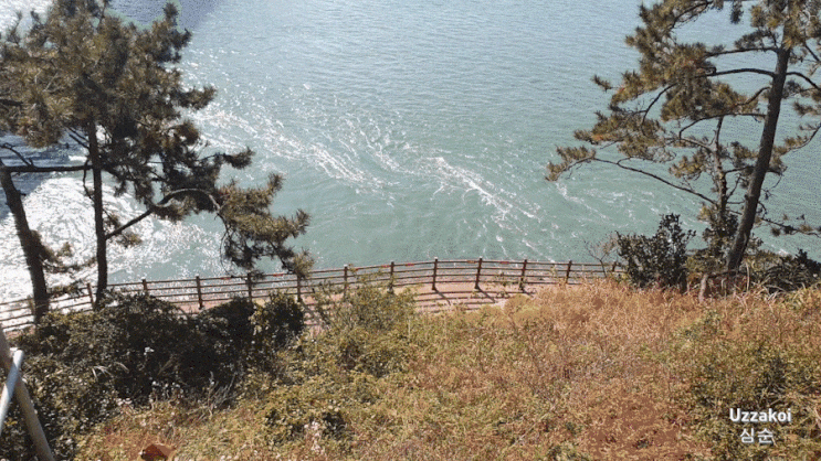  해남 가볼만한곳, 우수영 관광지_진도대교/울돌목