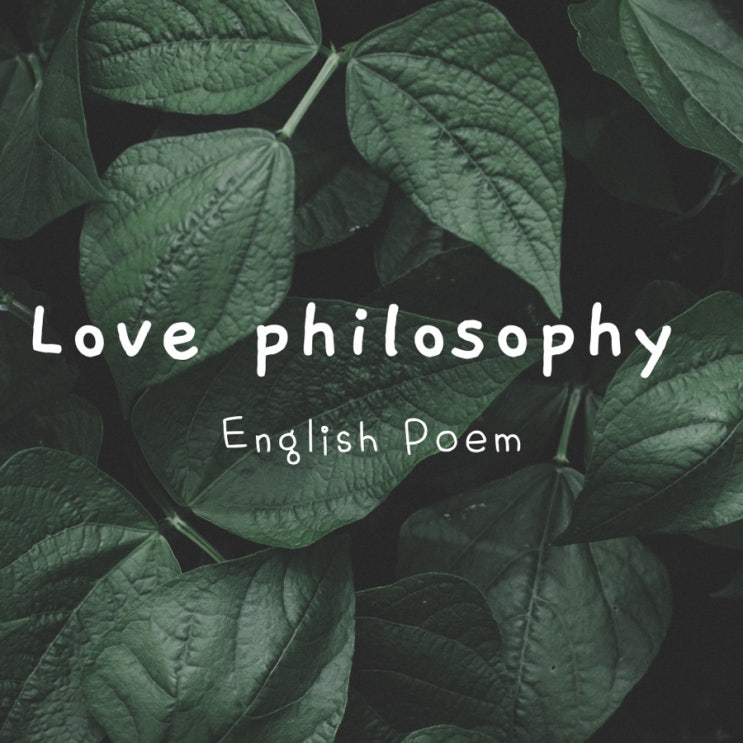 영시 english poem (1) : Love Philosophy 해석