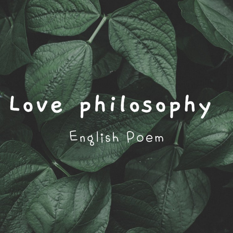  영시 english poem (1) : Love Philosophy 해석