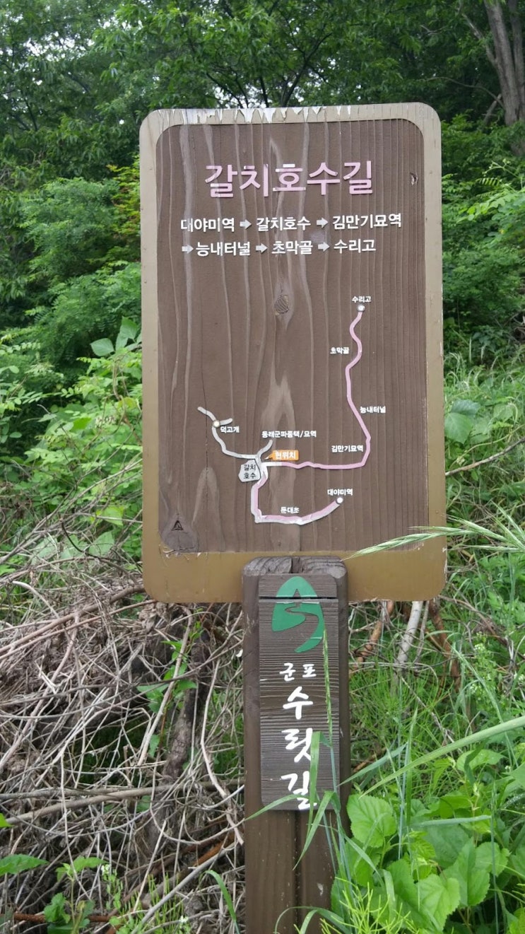  경기도 군포시 갈치 호수~~