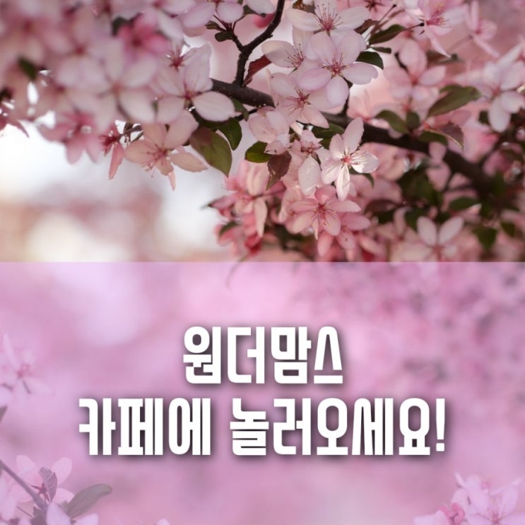 집콕놀이엔 원더맘스! 예비맘, 육아맘님들 원더맘스 네이버 카페에 놀러오세요! 집콕놀이엔 원더맘스! 예비맘, 육아맘님들 원더맘스 네이버 카페에 놀러오세요!