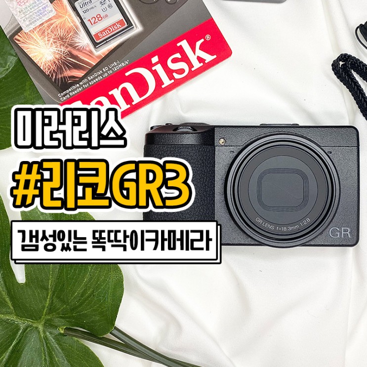 리코 GR3 미러리스 카메라 내돈내산 후기