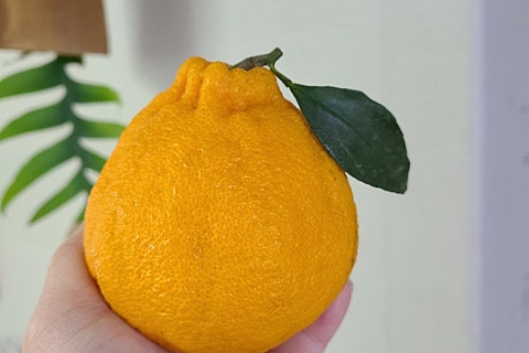 주찬이네농장 이미지