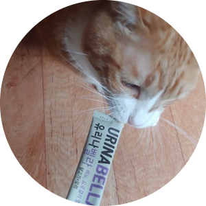  짜먹는 고양이 영양제   마이펫 닥터 유리나벨라