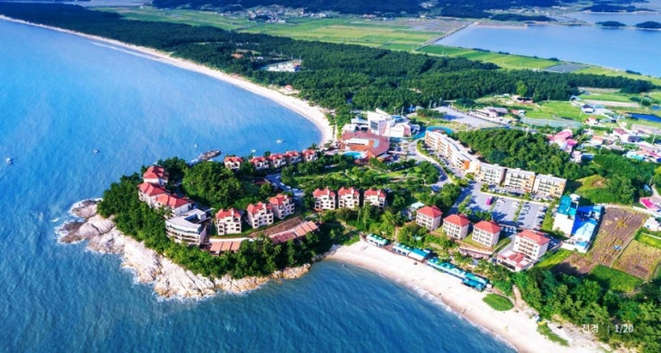  신안 증도 엘도라도리조트 비치프론트(조식,우전해수욕장,프라이빗비치, 한반도 해송숲 산책로등)