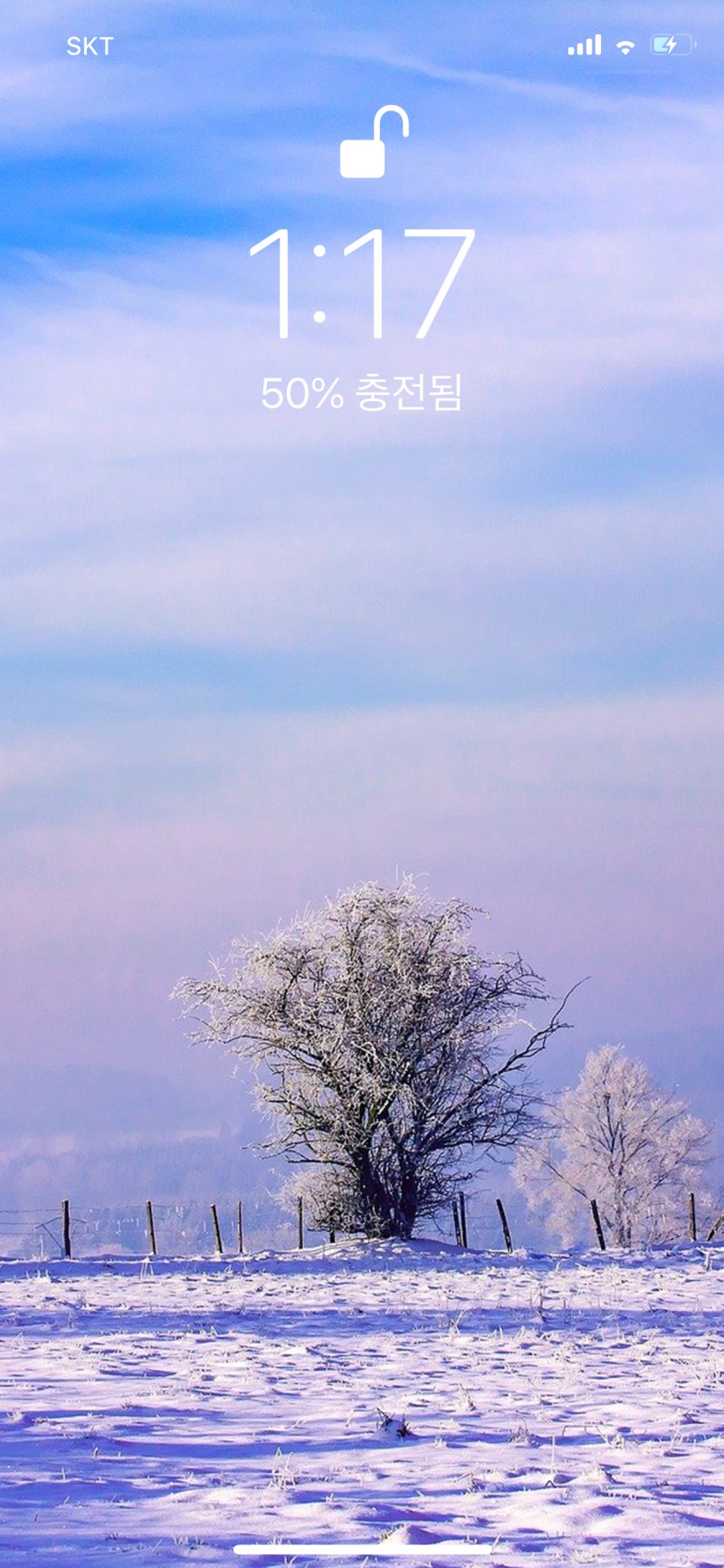 아이폰배경화면] 겨울/눈/심플/감성/나무 : 네이버 블로그