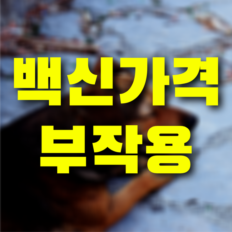 강아지 예방접종 가격과 부작용까지 초보 보호자라면 필독하세요