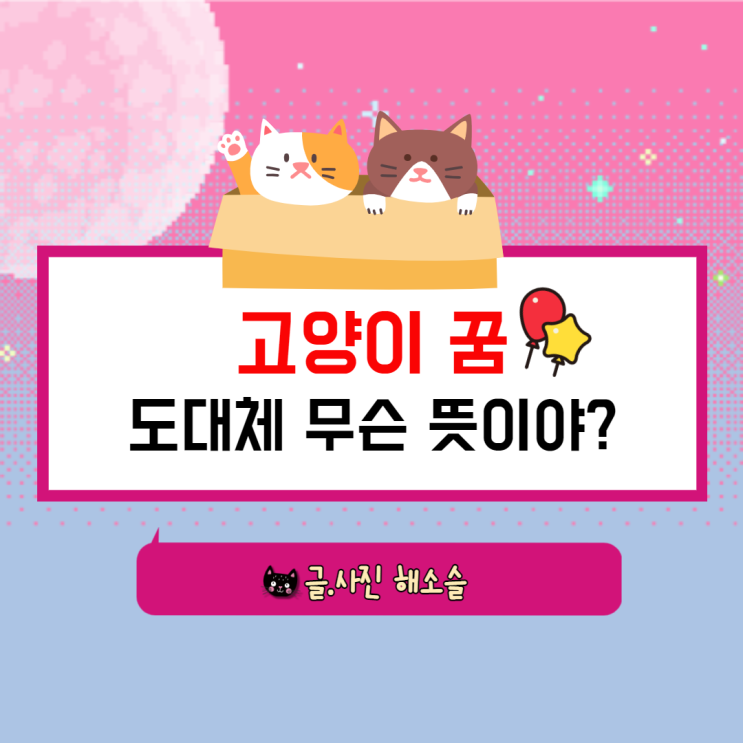  고양이 꿈, 도대체 무슨 뜻이야?