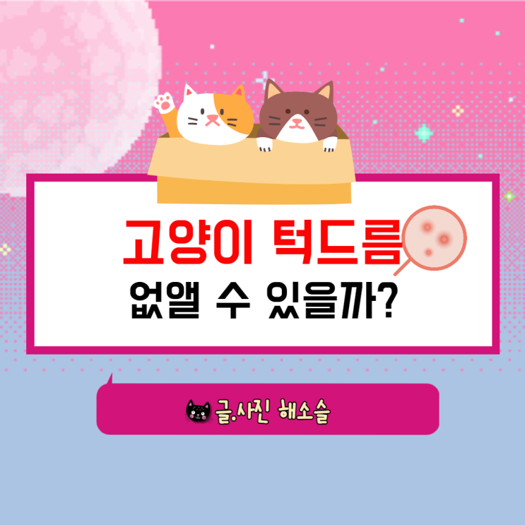  고양이 턱드름 없앨 수 있을까요.