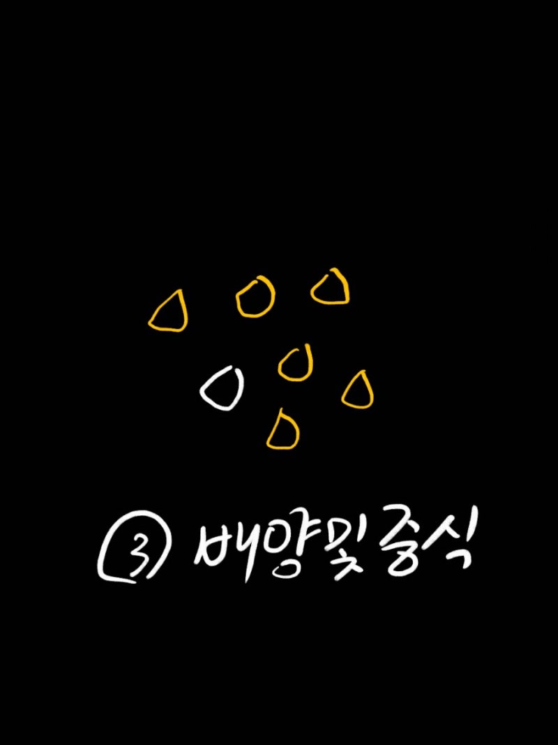 탈모신약 RCH-01 분석 및 전망 : 네이버 블로그