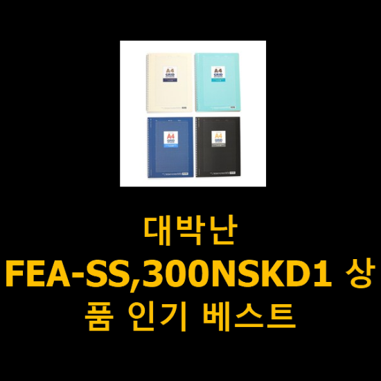 대박난 FEA-SS,300NSKD1 상품 인기 베스트