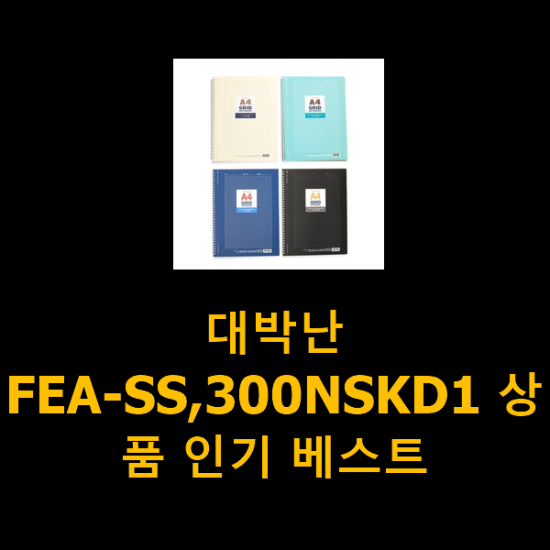 대박난 FEA-SS,300NSKD1 상품 인기 베스트 대박난 FEA-SS,300NSKD1 상품 인기 베스트