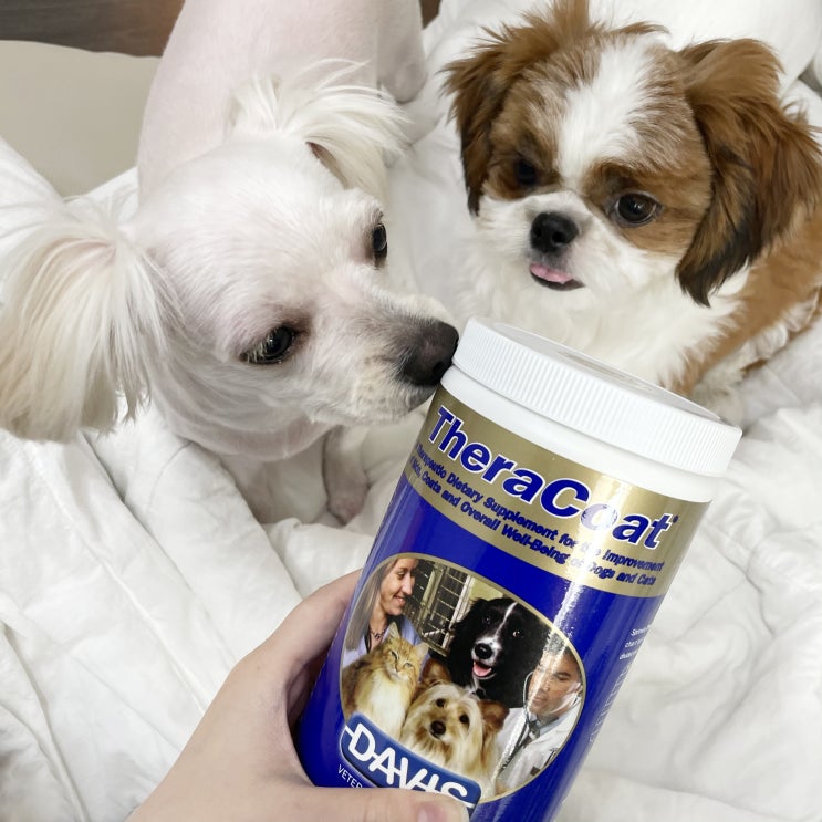  [내돈내산] 고양이, 강아지 영양제 (피부 모발 영양제) "테라코트"