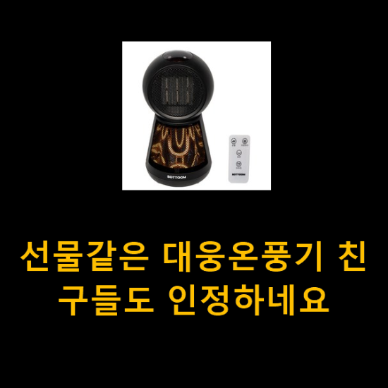 선물같은 대웅온풍기 친구들도 인정하네요 선물같은 대웅온풍기 친구들도 인정하네요
