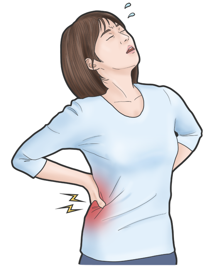척추 후관절증후군, 만성 요통 - 일산 한의원 - 가로세로한의원 일산점