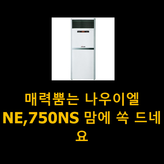 매력뿜는 나우이엘NE,750NS 맘에 쏙 드네요