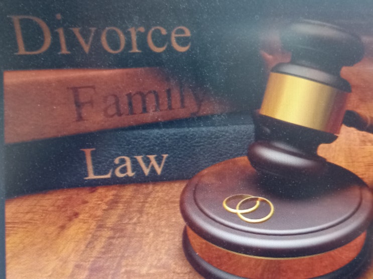 국제이혼한 외국인 배우자의 자녀 면접교섭허가 심판청구 기각 사례