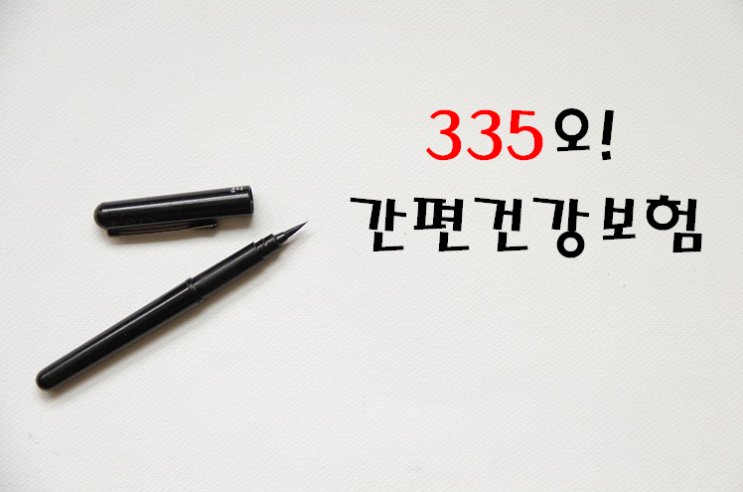  이제 325보험 대신 335보험 메리츠 간편보험으로 가성비있게 준비하자