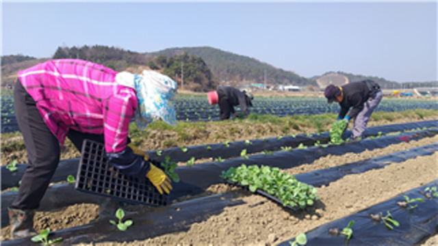 농업인 국민연금 보험료 월 최대 4만5000원까지 지원 농업인 국민연금 보험료 월 최대 4만5000원까지 지원