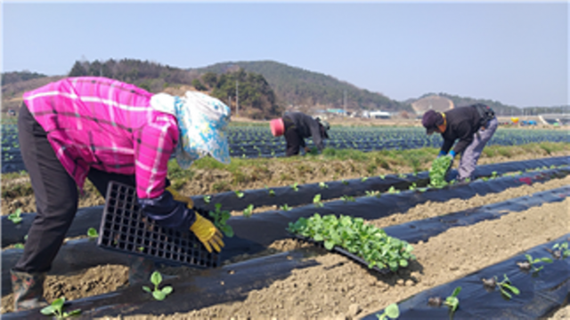 농업인 국민연금 보험료 월 최대 4만5000원까지 지원