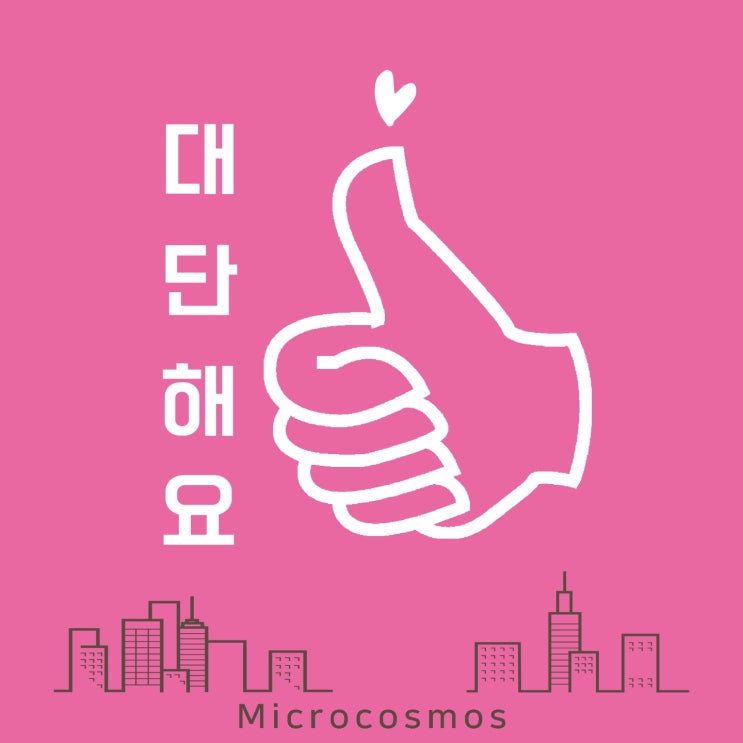  [2019.02.07] 마이크로코스모스 - 대단해요 [음원유통][음원발매][음원유통사]