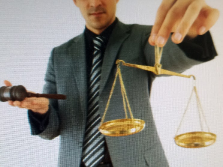  불륜으로 조정이혼 한 배우자를 상대로 친권자지정과 양육권변경청구 기각 변호사 판례