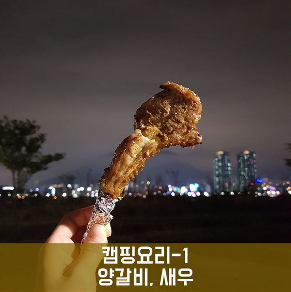  캠핑요리 - 1 양 갈비, 새우요리