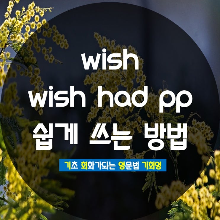 wish / wish had pp 쉽게 쓰는 방법 - 기회영