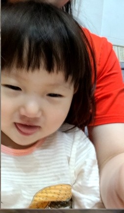  20개월 말못하는 아기 뽐비