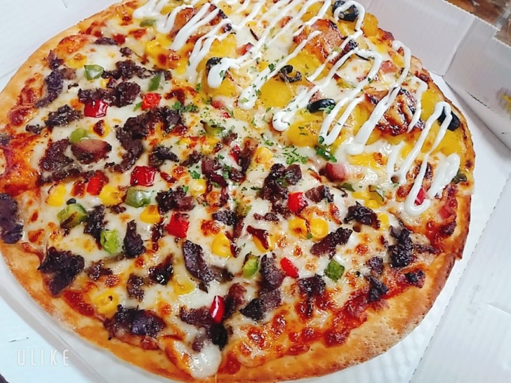 의정부 피자 "피자파는집"