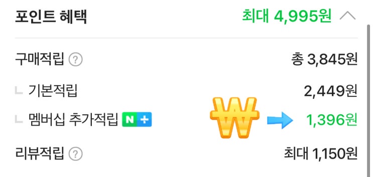  네이버 페이, 카카오페이 어디로 정착해야 하죠?