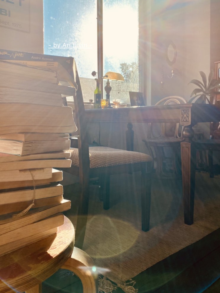  제주도, 빈티지소품&카페/오감이 행복한 '뜻밖의 발견'(#제주도카페,제주도 남쪽카페, 서귀포카페, 뜻밖의 발견, 핸드드립, 1박2일여행, 주말여행)