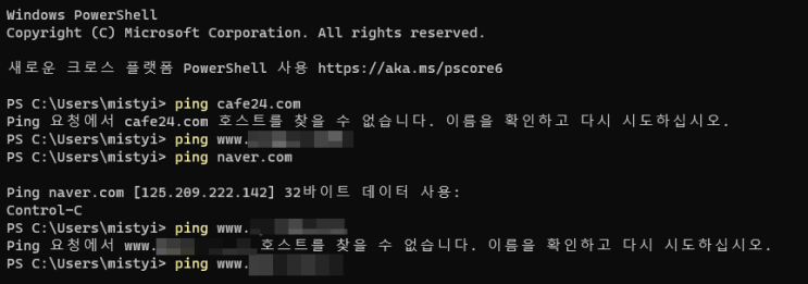  cafe24... 뭐지...?