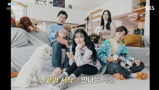  "영원히 행복하게"…'어쩌개' 유기견들 새 가족 만났다 '감동의 이별' [종합]