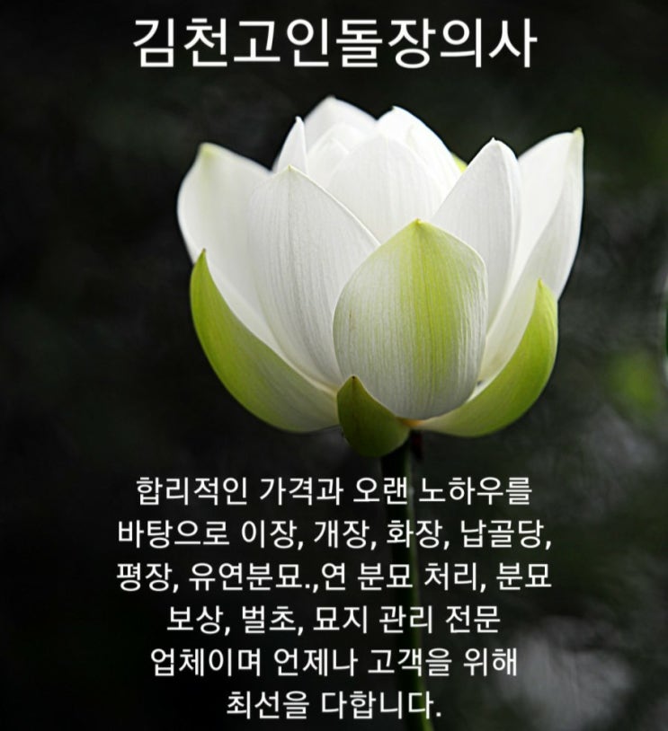  김천 고인돌 장의사 입니다