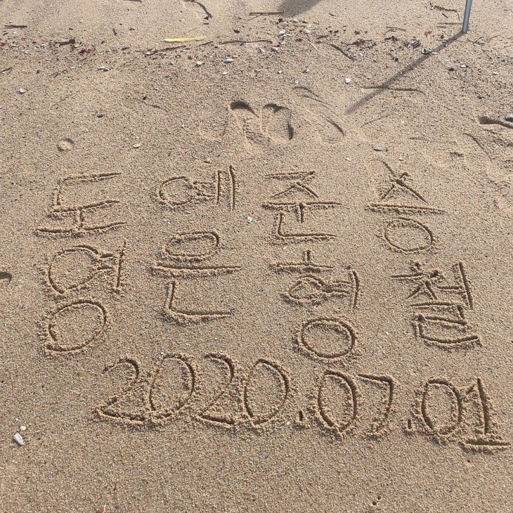  [속초/강릉] 200701 속초,강릉 1박2일 여행 (2) / 동해바다, 강릉엄지네꼬막집, 테라로사카페, 강릉 주문진