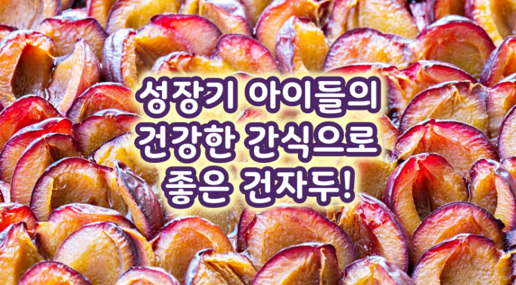  성장기 아이들의 건강한 간식으로 좋은 건자두!