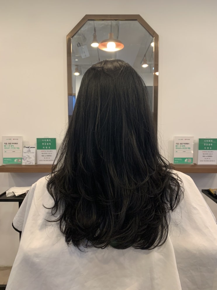 산본미용실] "나비헤어"에서 푸석해진 머리 클리닉!