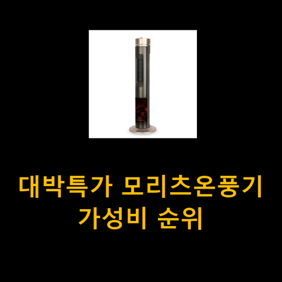대박특가 모리츠온풍기 가성비 순위 대박특가 모리츠온풍기 가성비 순위