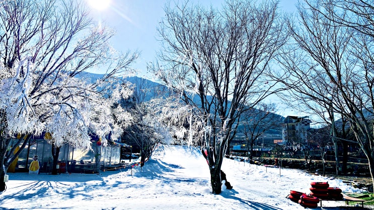  부산근교 드라이브 밀양 가볼만한곳 밀양 여행 밀양 얼음골 폭포관광농원눈썰매장 한산하네